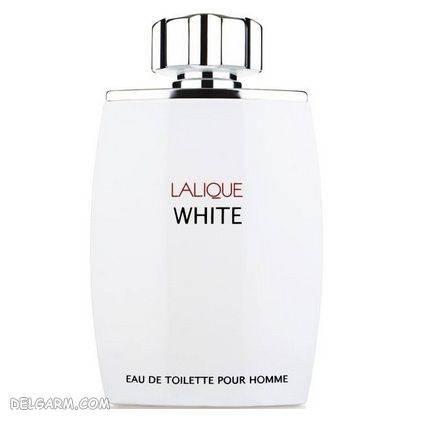 %d8%b9%d8%b7%d8%b1%d9%87%d8%a7%db%8c-%d8%ae%d9%86%da%a9-%d9%85%d8%b1%d8%af%d8%a7%d9%86%d9%87